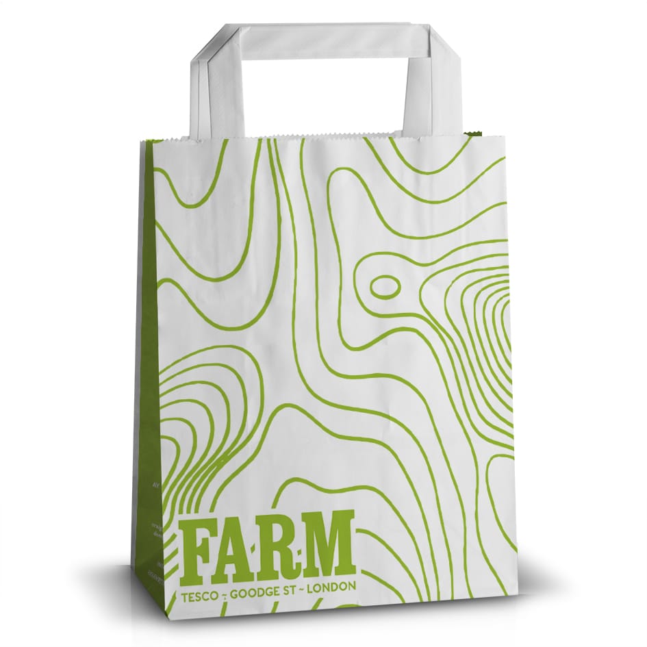 Printed Flat Handle Paper Bags Custom Printed Paper Bags