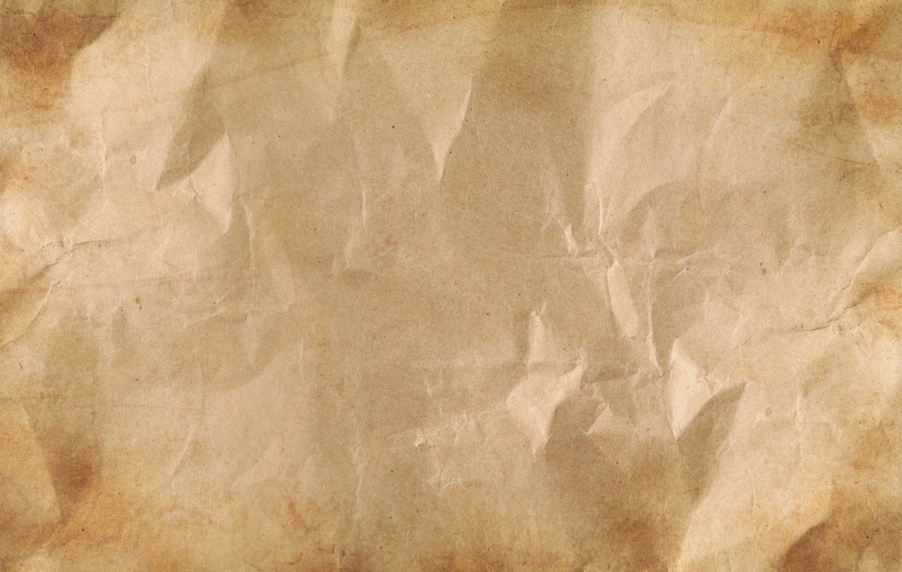 paper branded bags