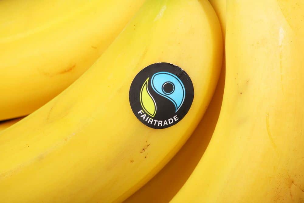 fairtrade for SMEs