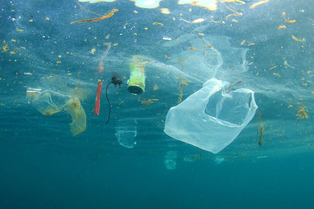 Plastic pollution