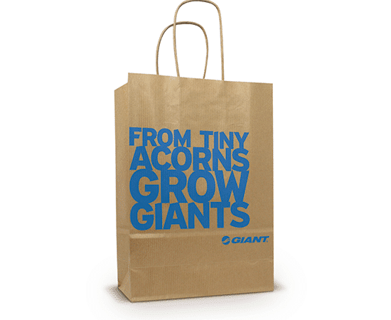 Twisted Handle Printed Paper Bags