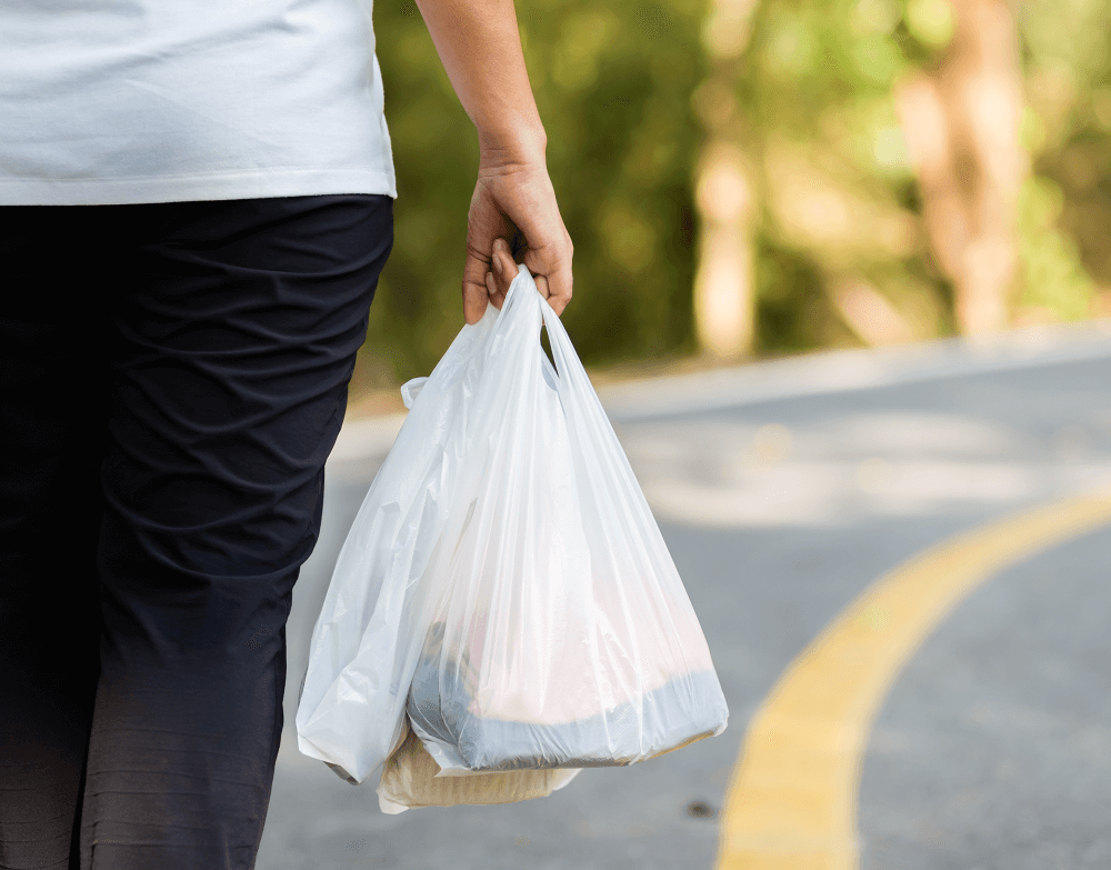 hand holding plastic bags