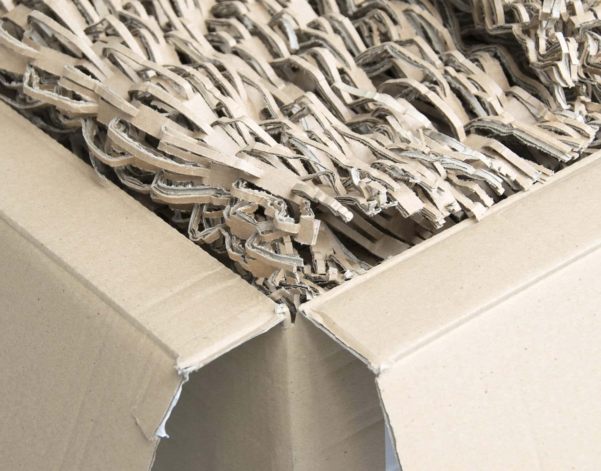 shredded cardboard