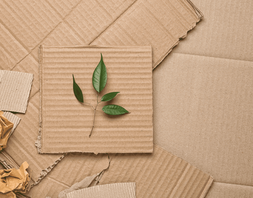 Leaf On Cardboard