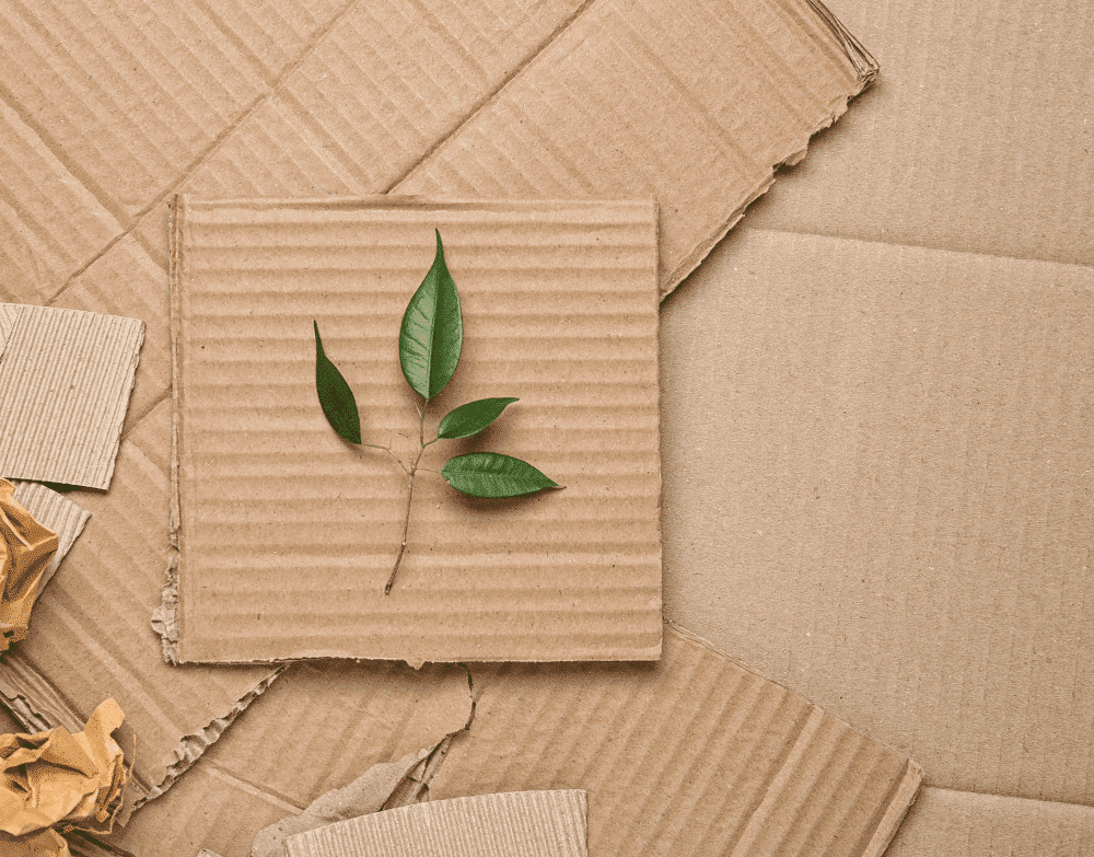 4 Sustainable Packaging Materials to Improve Your Packaging