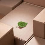 sustainable boxes