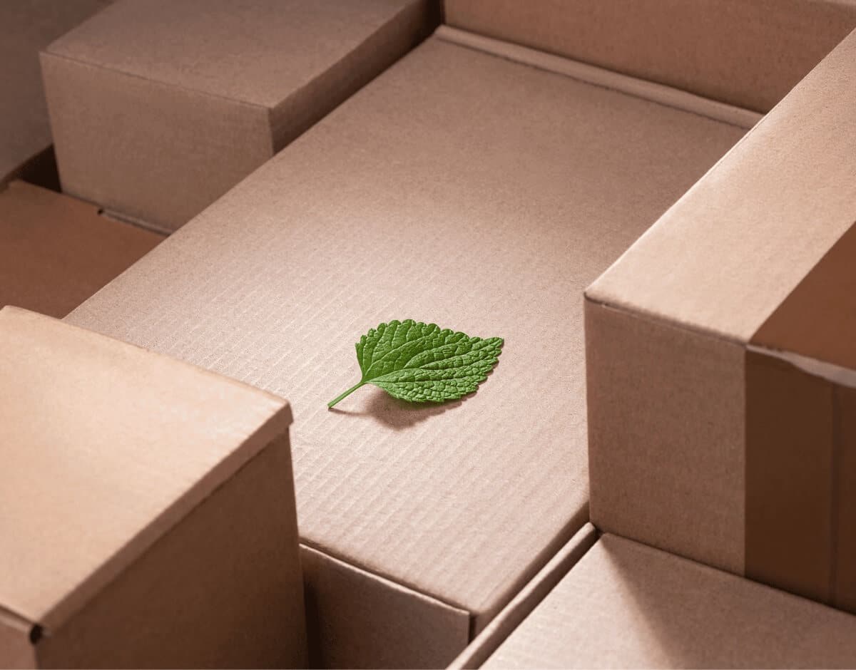 sustainable boxes